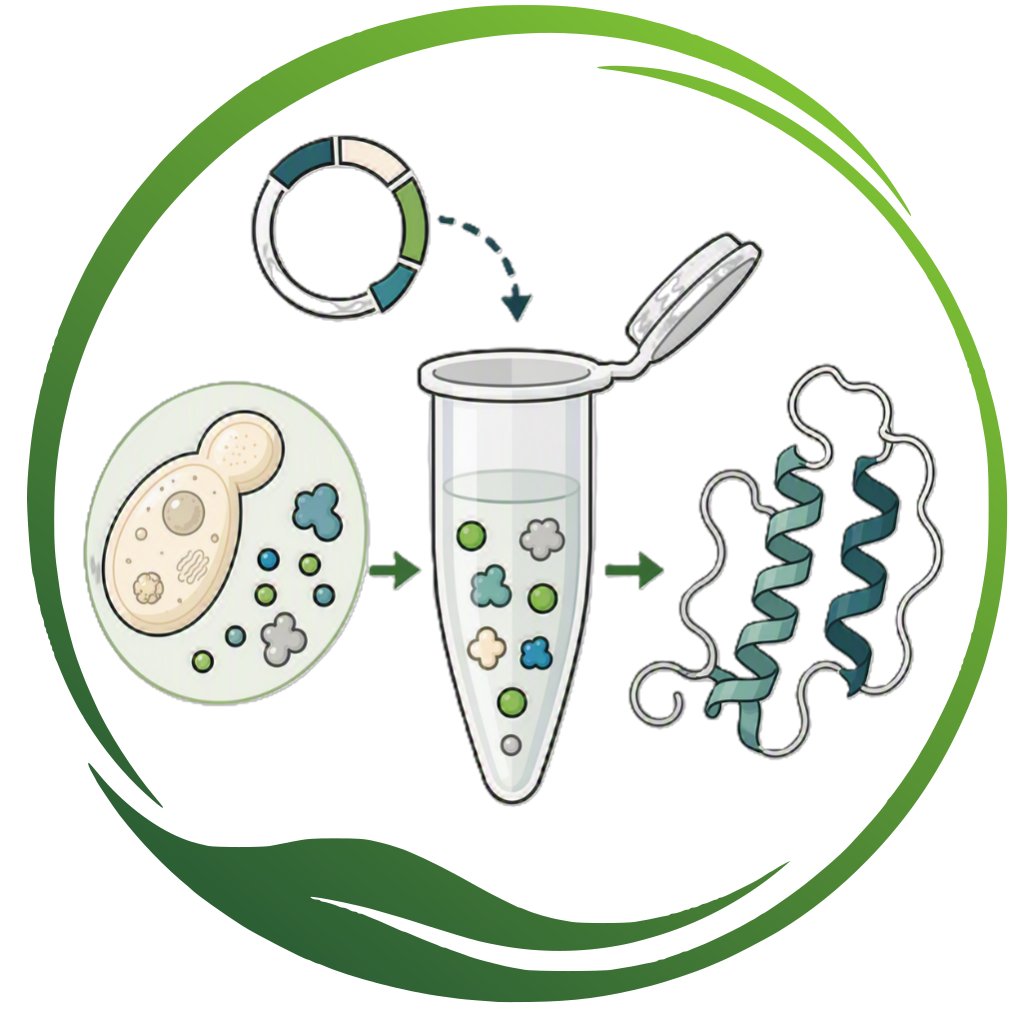 Cell-Free Protein Synthesis